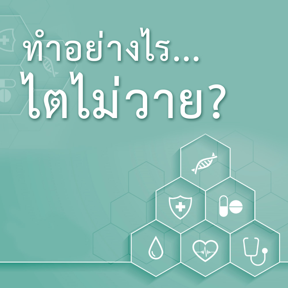 ทำอย่างไร ไตไม่วาย?